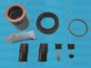 AUTOFREN SEINSA D42280C Repair Kit, brake caliper